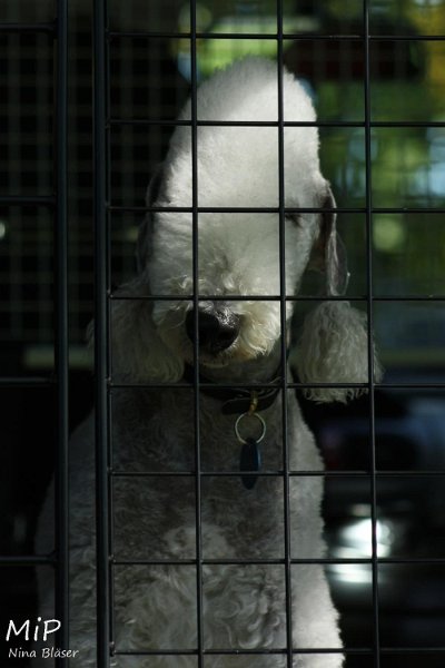 2010-10-03 Coursing-Training GE (1).jpg